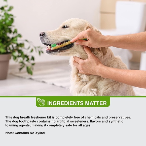 Pure and Natural Pet Organic Dental Solutions USDA Certified Organic Small Kit - Picture 6 of 7